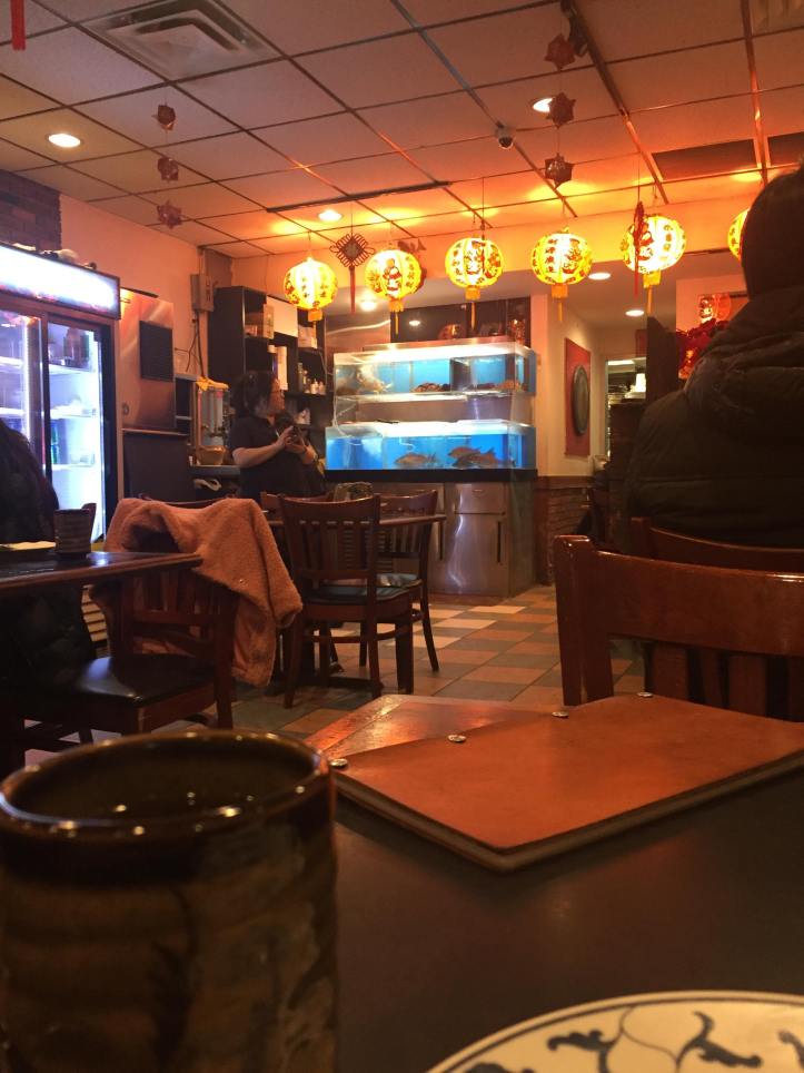 52598001_1110038719201928_1720648788806205440_n (1)